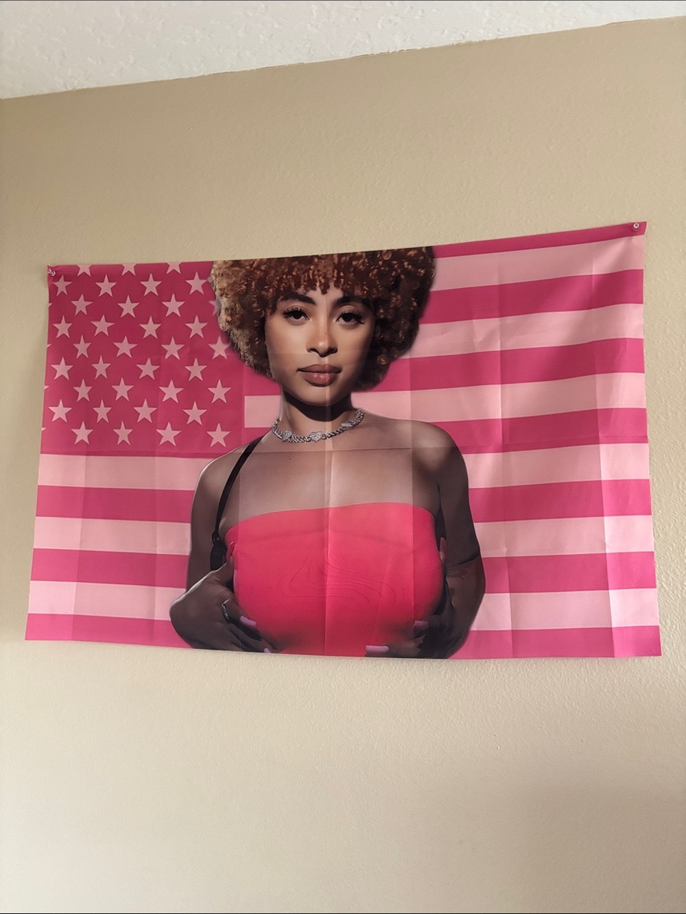 Ice Spice Pink Flag Wall Tapestry